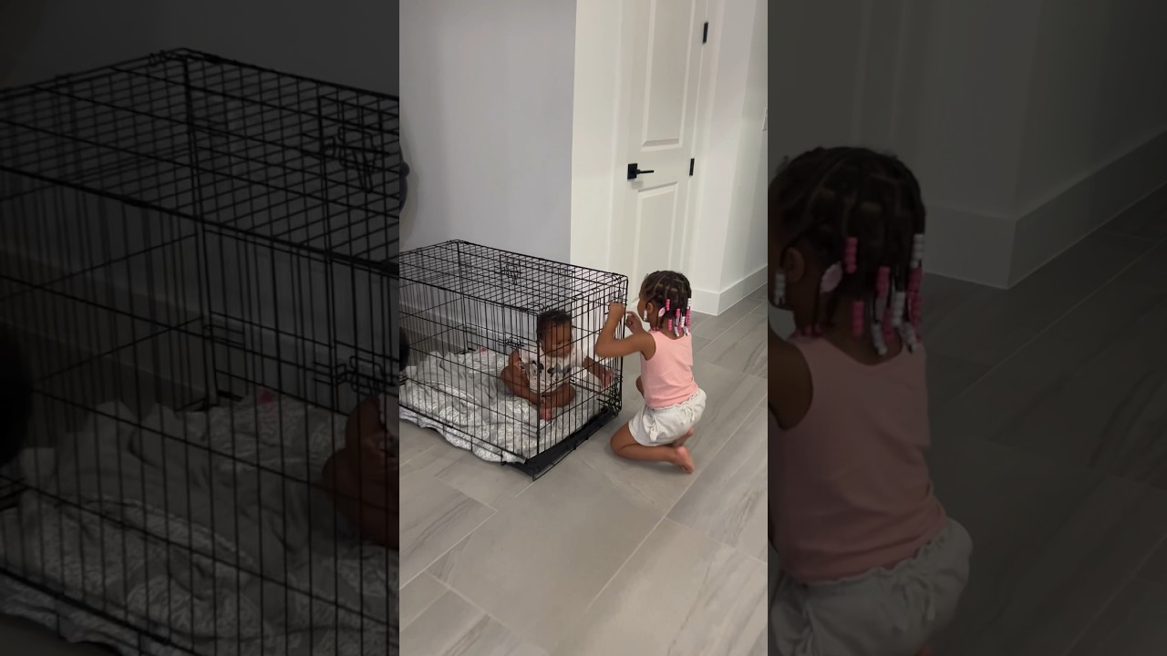 Dad catches Daughter Locking Sister In Dog Cage #shorts