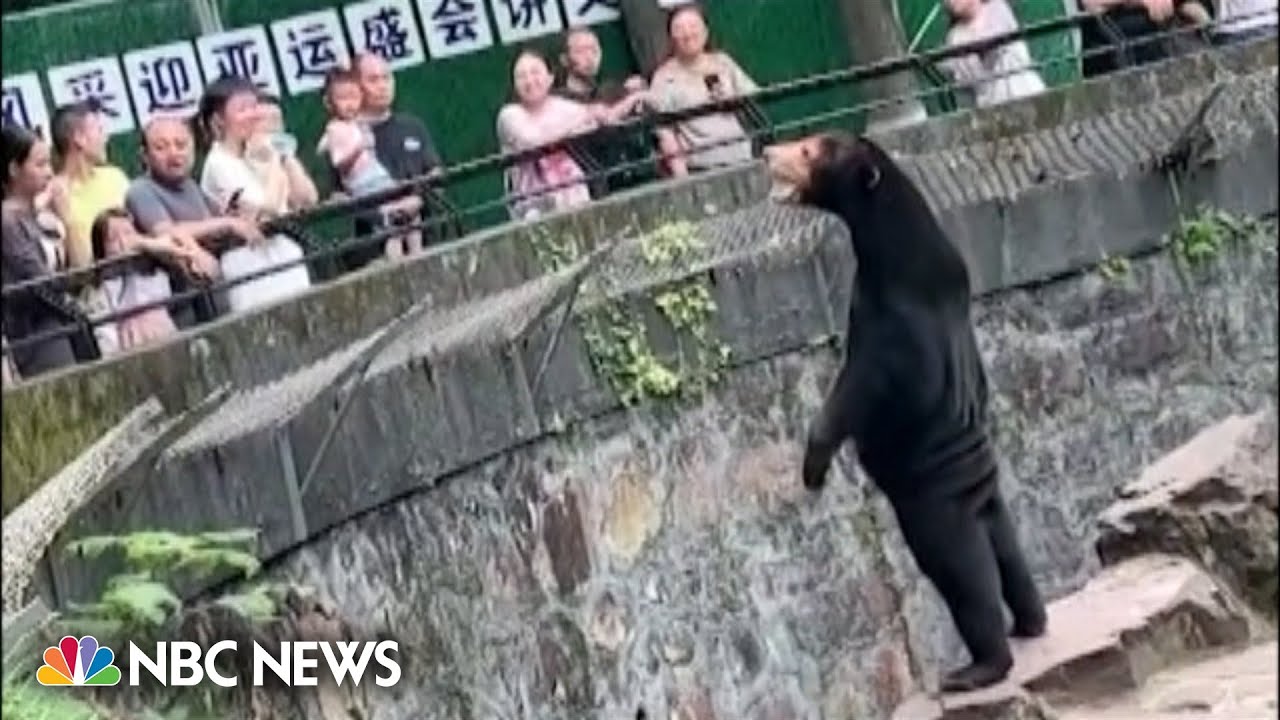 Chinese zoo