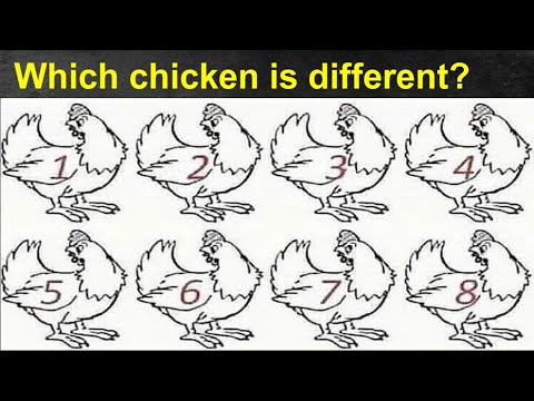 Which chicken is different Riddle & Brain teaser