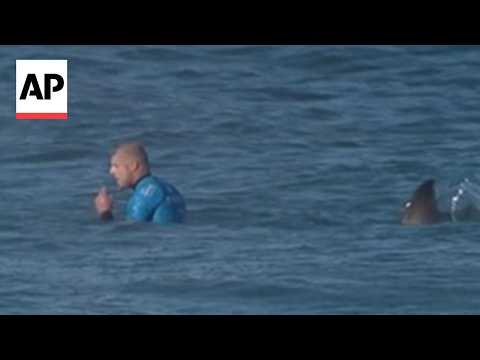 Surfer Fights Off Shark During Competition