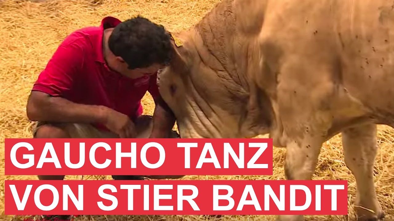 Gaucho-Tanz von Stier Bandit als Dank!