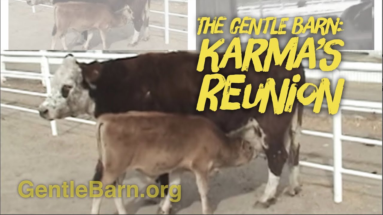 The Gentle Barn: Karma's Reunion