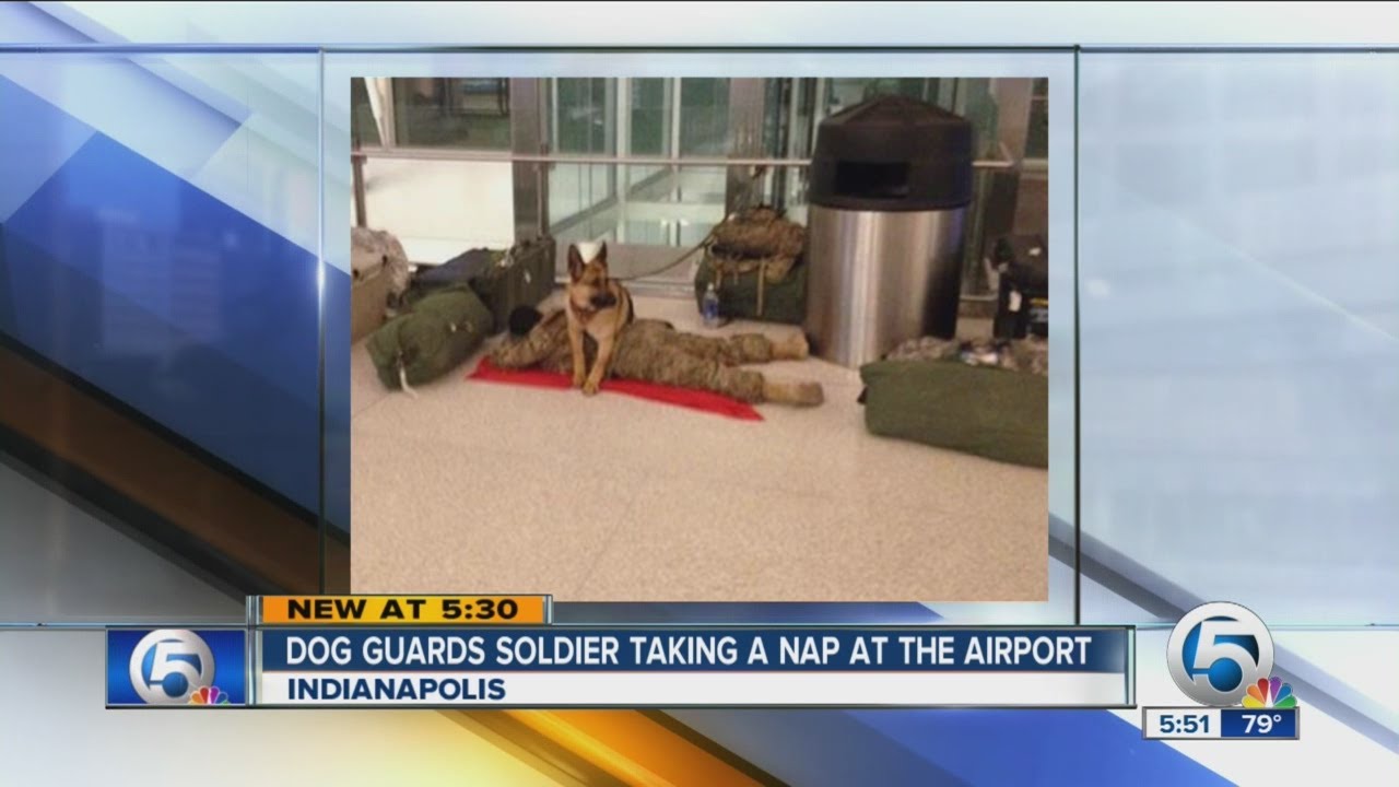 Dog guards soldier taking a nap at the airport