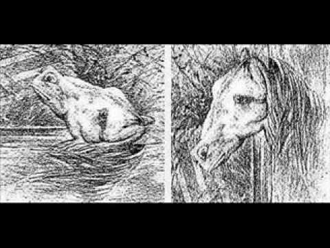 Optical Illusion - Horse and Frog