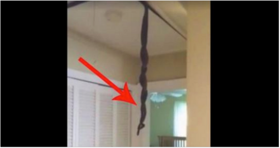 The biggest fear of some of us is paying bills, spiders, beetles, or snakes, but this man had the nightmare surprise of his life.