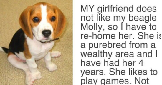 Man receives an ultimatum from his girlfriend to get rid of the dog, or she will leave him; see the man’s response