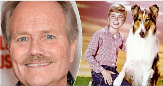 Jon Provost AKA Little Timmy from ‘Lassie’ celebrates his 71st birthday and he’s aging like a fine wine