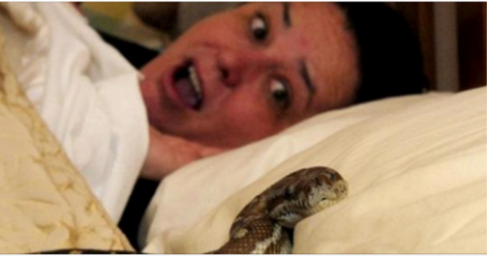 Every night, this woman slept next to her pet snake, but suddenly something terrible happened! 