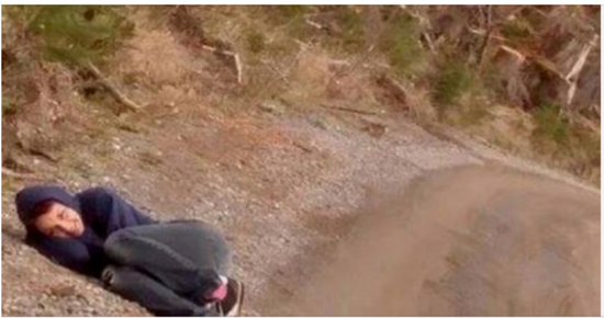 This is the amazing tale of Amanda, an animal lover who stunned everyone with a gesture.