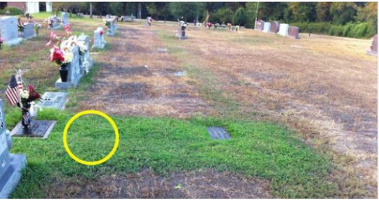 The parents went to the SON’S GRAVE and saw that only he had GREEN GRASS!