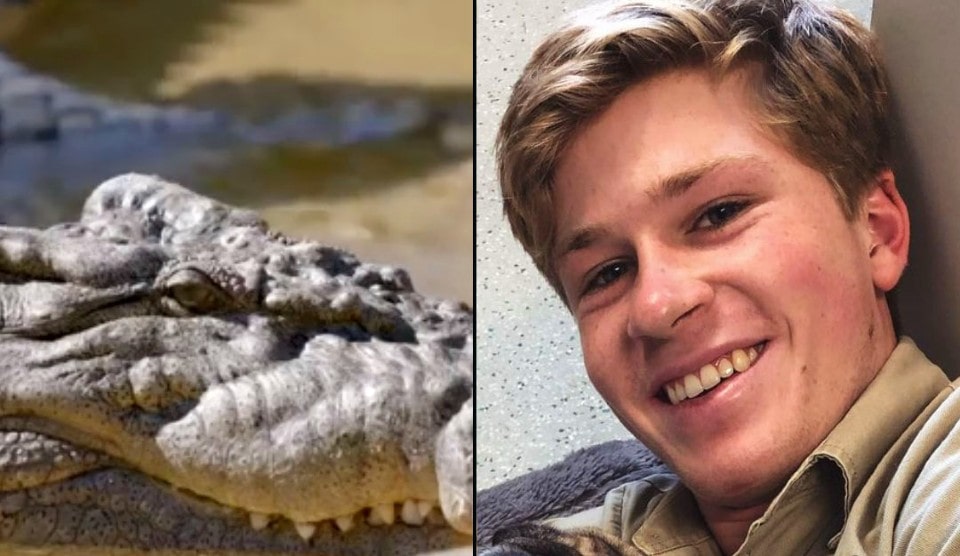 After a disturbing video went viral, Steve Irwin’s son Robert had his appearance “cancelled.”