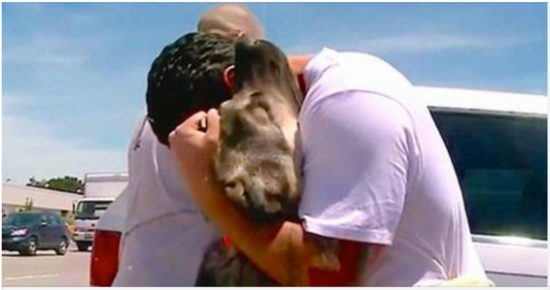 Soldier falls in love with puppy in Iraq, dog goes nuts with joy when they reunite.