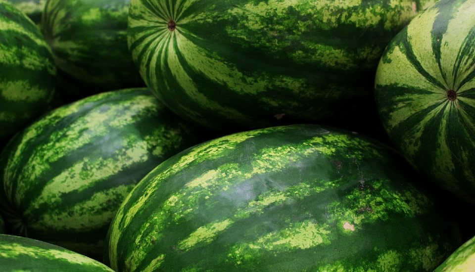 She believed that a watermelon would be cooling given how hot it was outside, but she was astonished by what she discovered inside the melon.