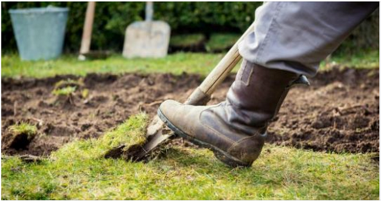 Man Digging In His Backyard Makes The Last Discovery He Ever Expected To Find
