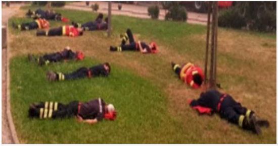 What the bystander observed on the lawn shocked him.