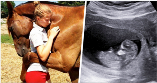 Horse Keeps Hugging Pregnant Woman – When Doctor Looks At Ultrasound He Calls The Police