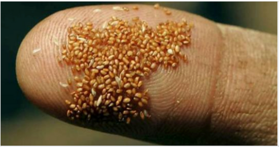 Man Wakes Up With Little Bubbles On Finger – Doctors Called Police After They Examined Him