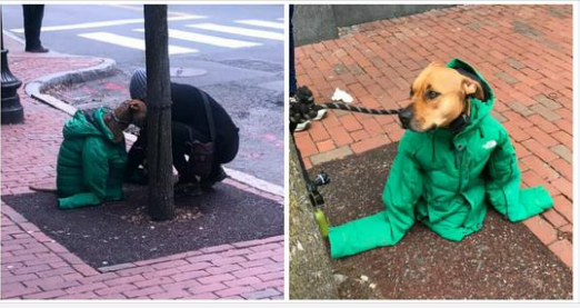 Woman gives shivering dog her jacket to keep him warm, unaware her actions were being captured