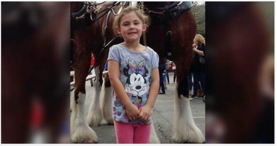 Dad photographs daughter in front of giant horse, looks closer and bursts out laughing