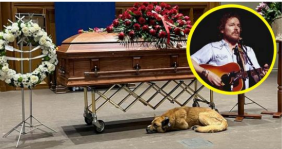 Dog curls up next to Gordon Lightfoot’s casket during memorial service: “Gordon loved dogs”