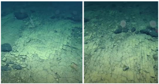 Scientists find strange “Yellow Brick Road” at the bottom of the Pacific Ocean