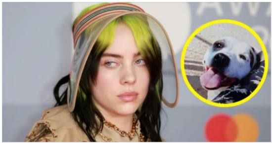 Billie Eilish mourns death of childhood dog Pepper: “My lifelong best friend”