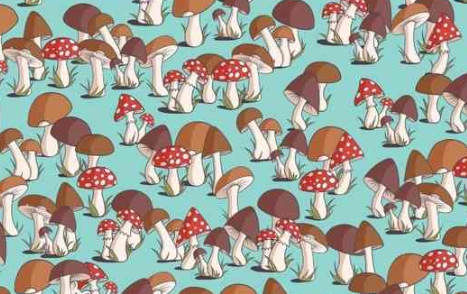 Optical Illusion to Test Your IQ: Can You Spot the Mouse Hidden Among Mushrooms in Picture within 15 Secs?