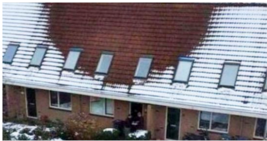 Several Residents Of A Dutch Village Reported An Unusual Thing At A Neighbor’s Home To The Authorities