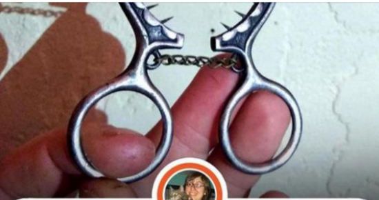 People Wondered about the Purpose of These 6 Things & Got Unexpected Answers 