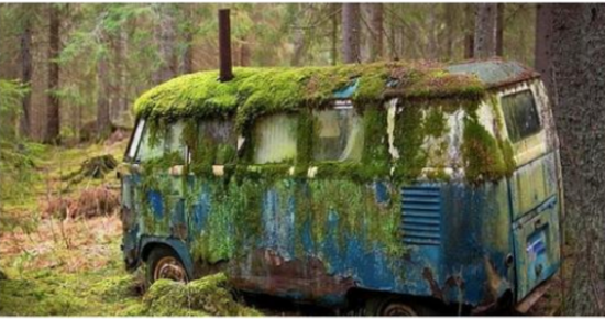 A dream house inside a rotten bus! What the family saw inside an old house on wheels came as a surprise