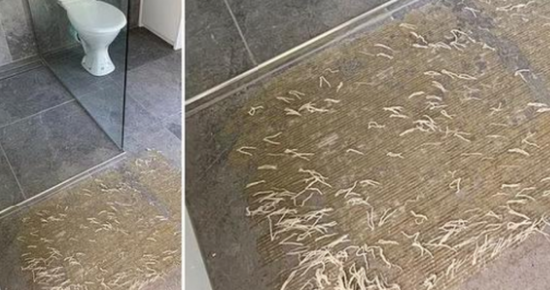 Mom’s plea for help after ‘nightmare’ find in bathroom