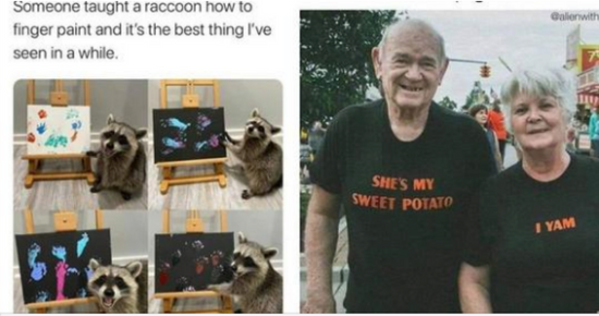 50 Memes Too Wholesome For The Internet