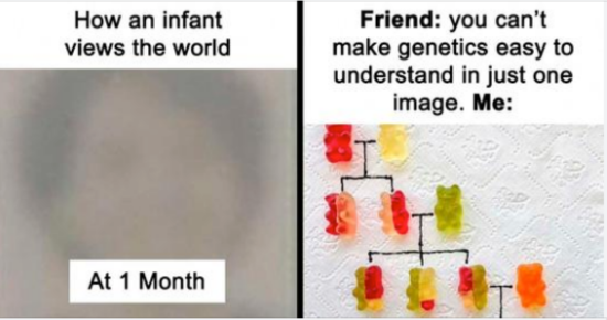 23 Cool And Interesting Guides That Teach You More In Images Than Any Parenting Book Can