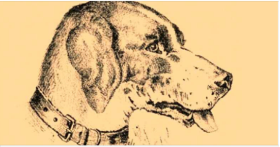 “Optical Illusion Vision Test”: Find Dog’s Master in 7 Seconds!
