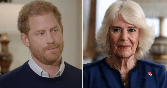 Queen Camilla ‘Outraged’ After Prince Harry’s Visit To See The King