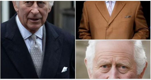 THE DOCTOR SAYS THAT KING CHARLES MIGHT NOT HAVE MUCH TIME LEFT TO LIVE IF THE CANCER HAS SPREAD TO OTHER PARTS OF HIS BODY. – TRUTH HERE !