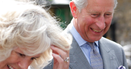 Queen Camilla ‘Outraged’ After Prince Harry’s Visit To See The King