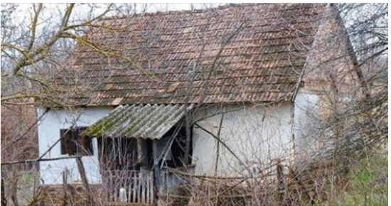 The young family did not have money for an apartment. They bought an abandoned house and now live like in a fairy tale!