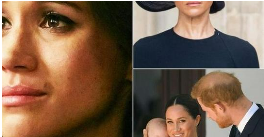 The Extraordinary Life of Meghan Markle and Prince Harry in California 