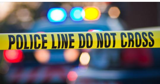 Missing 6-year-old boy found shot dead alongside father inside isolated camper 