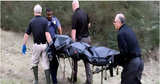 Legendary actress found dead after an “unexpected accident” on a walk near her home in Washington