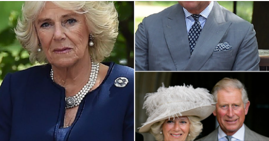 Queen Camilla to take a break from royal duties weeks after King Charles’ cancer diagnosis