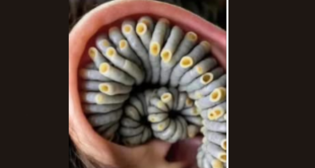  If These 7 Changes Occur In Your Body, You Might Want To Pay Attention 