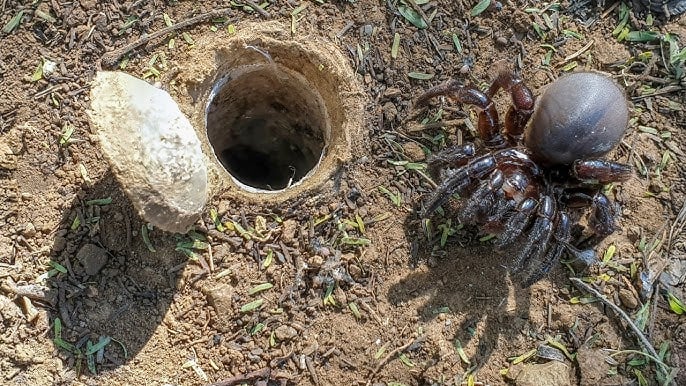 What he pulled out of the hole had everybody in complete disbelief!