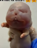 What is this secret?